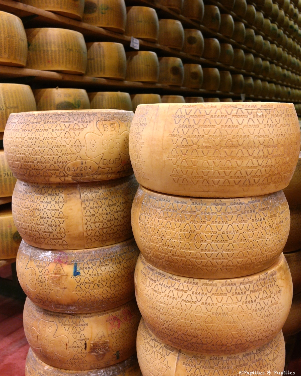 Grana Padano