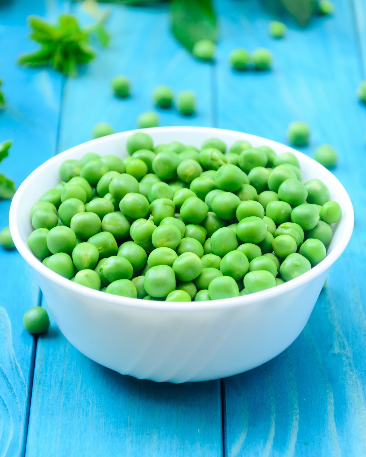 RAW baby peas in small white bowl, over colorful turquoise blue painted wooden boards. Close-up