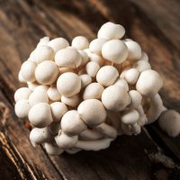 Shimeji blanc ©nito shutterstock