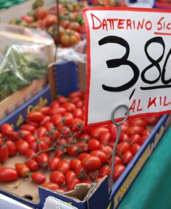 Tomates Datterino