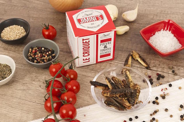 Les insectes qui croustillent - Le criquet