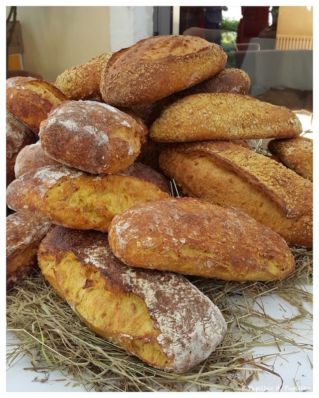 Pains au maïs de Jean Luc Constanti