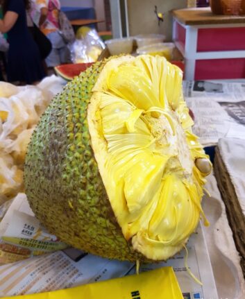 Fruit du jacquier
