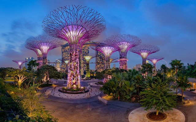 Gardens by the bay ©Gardens by the bay