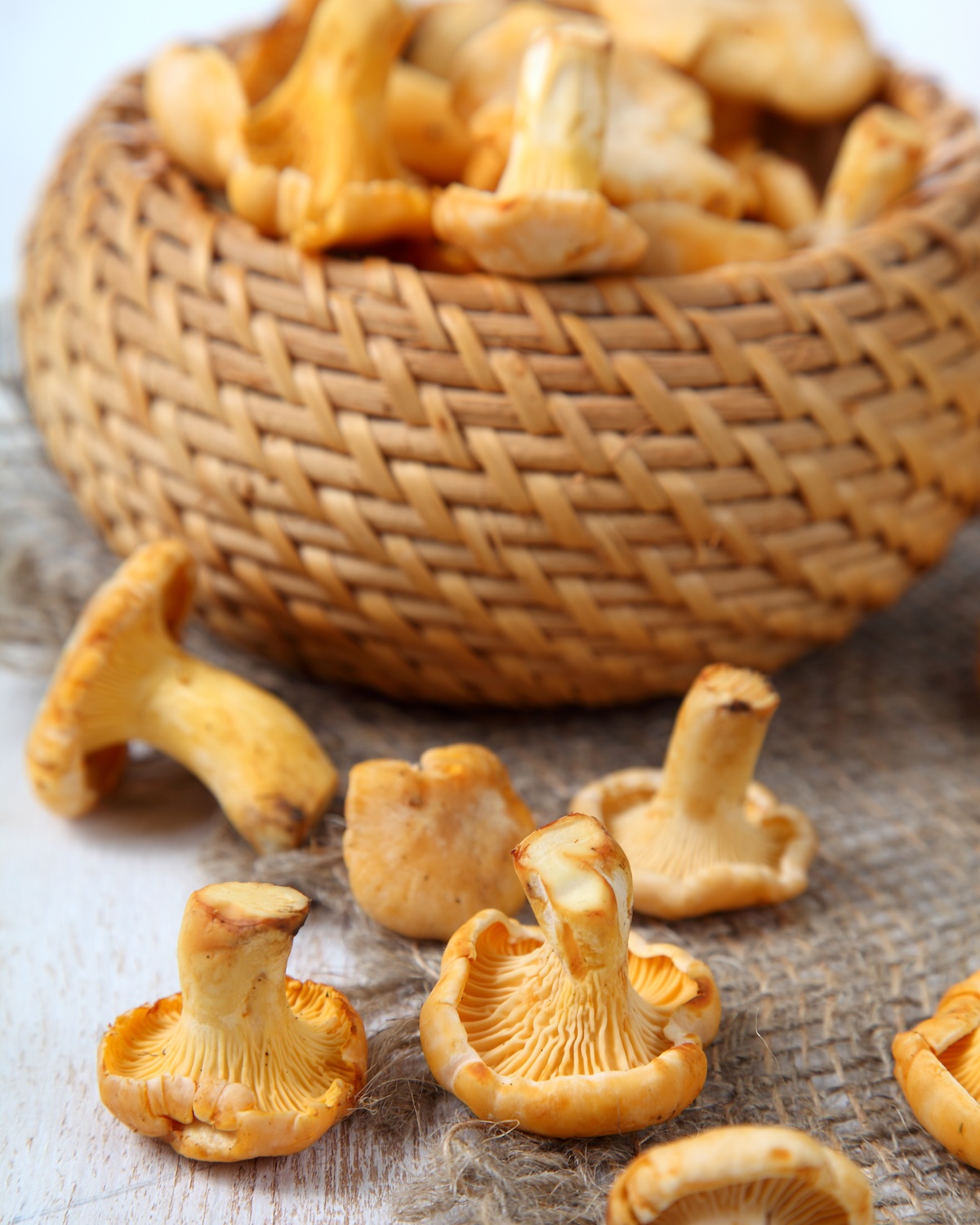 Chanterelles on an old wooden table