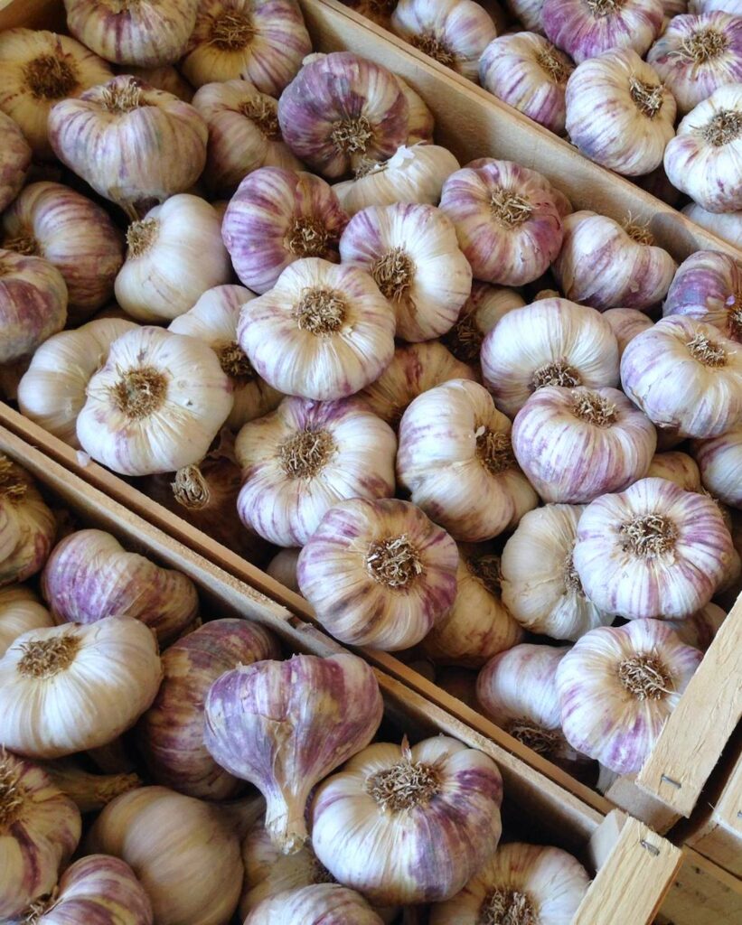 Ail de la Drôme