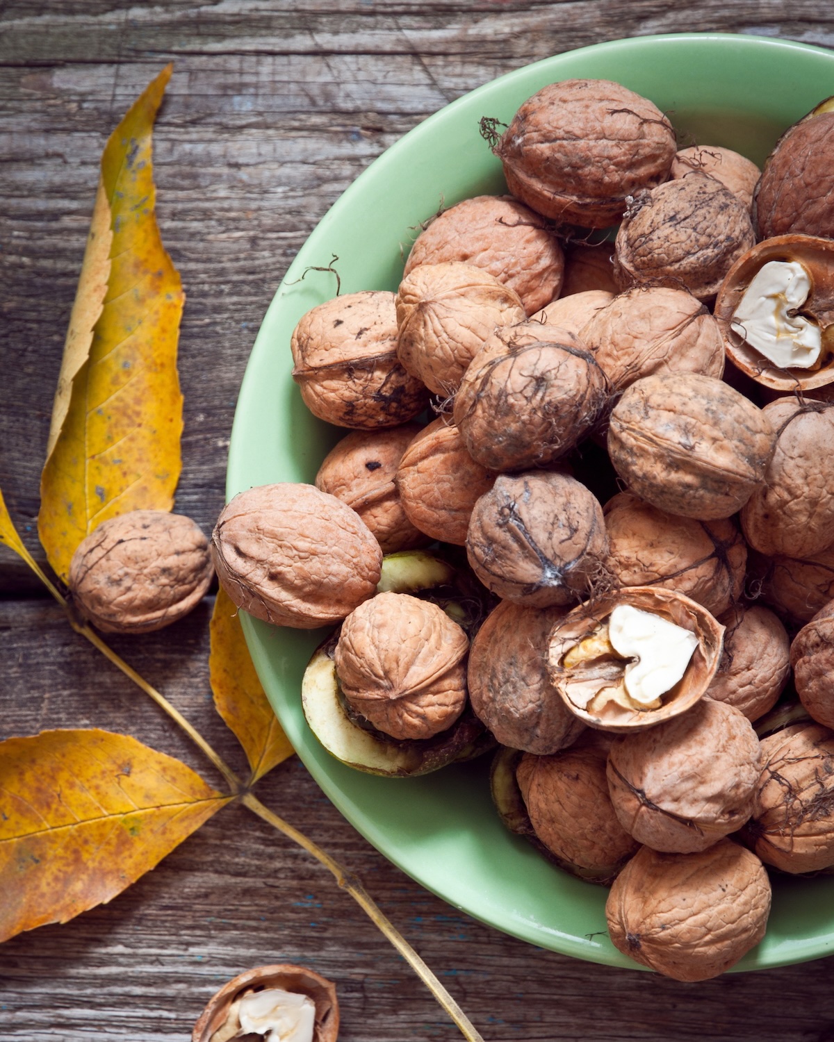 Noix ©natalia bulatova shutterstock