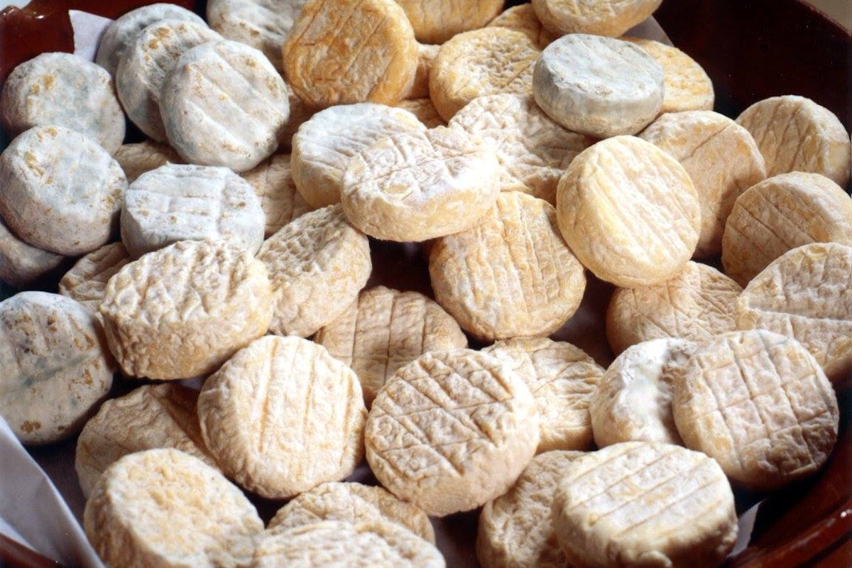 Picodon ©Picodon AOP