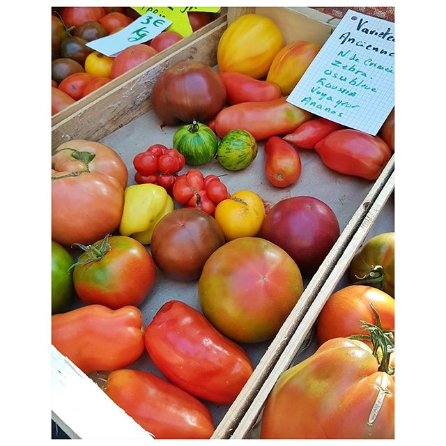 Les dernières tomatesde la saison - marché de Brive la Gaillarde