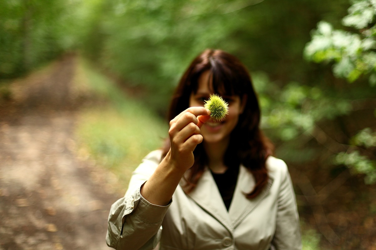 Châtaignes ©Manuel CC BY-NC-ND 2.0