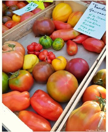 Dernières tomates au marché de Brive