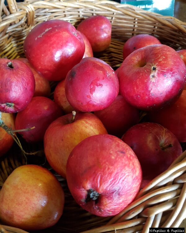 Pommes Highbank Orchards