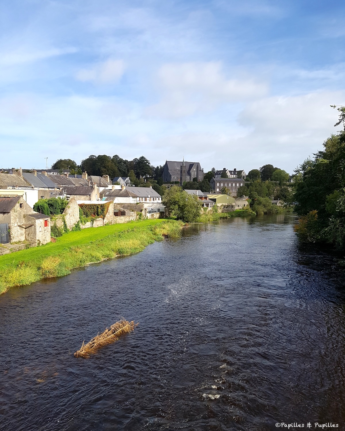 Rivière Nore, Thomastown, comté de Kilkenny en Irlande