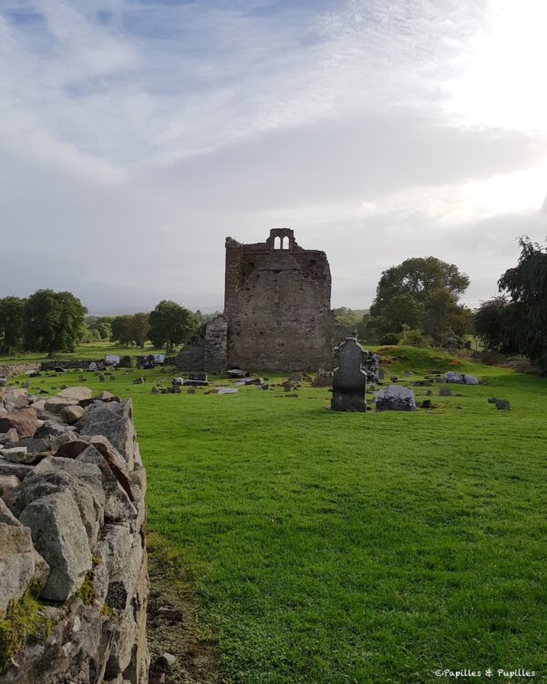 Ancienne église en ruine de Newtown Jerpoint entourée de tombes et de murets en pierre dans la campagne irlandaise