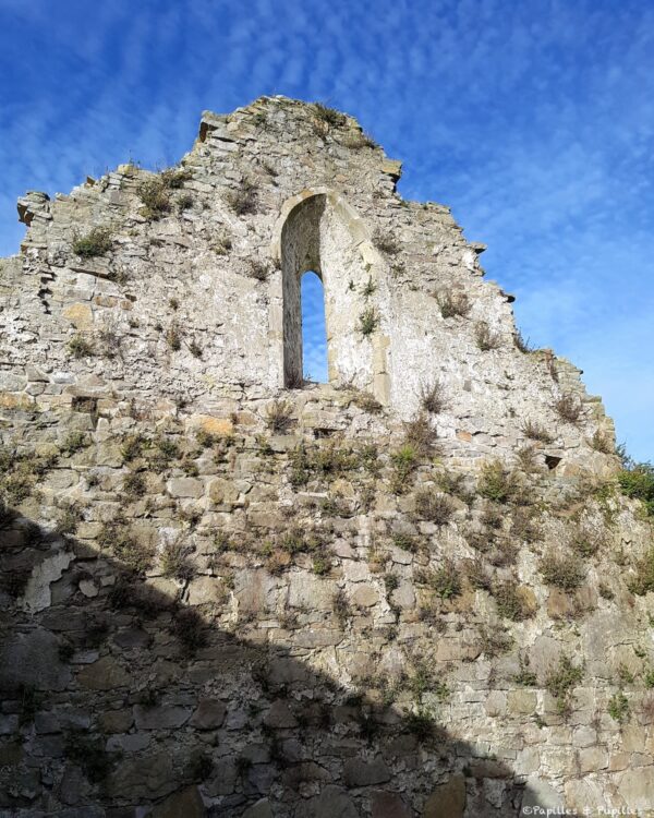 Fenêtre gothique dans les ruines de l’église de Newtown Jerpoint dans le comté de Kilkenny