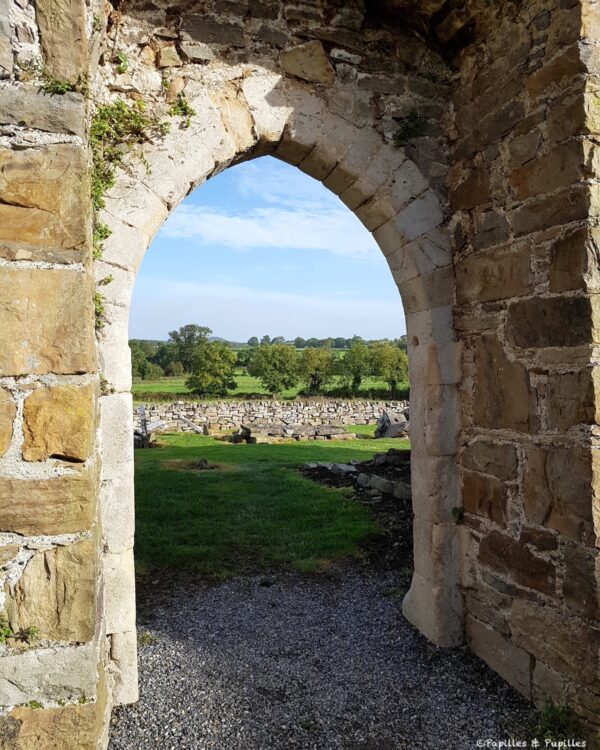 Arche en pierre de Newtown Jerpoint ouvrant sur la campagne verdoyante irlandaise