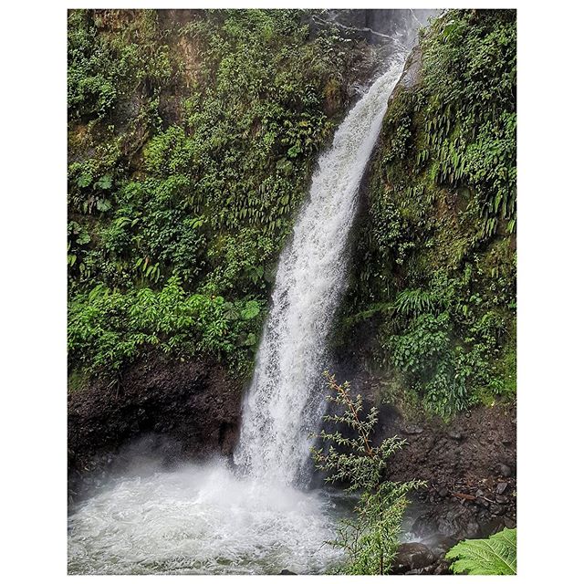 Cascade de la paix - Rain Forest - Monteverde - Costa Rica
