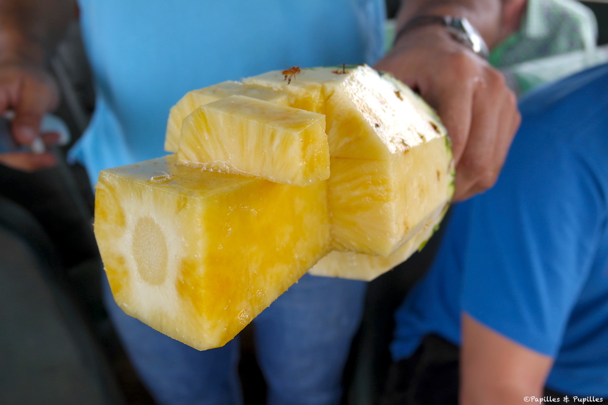 Ananas bio du Costa Rica