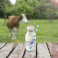 Lait ©De Kitamin shutterstock