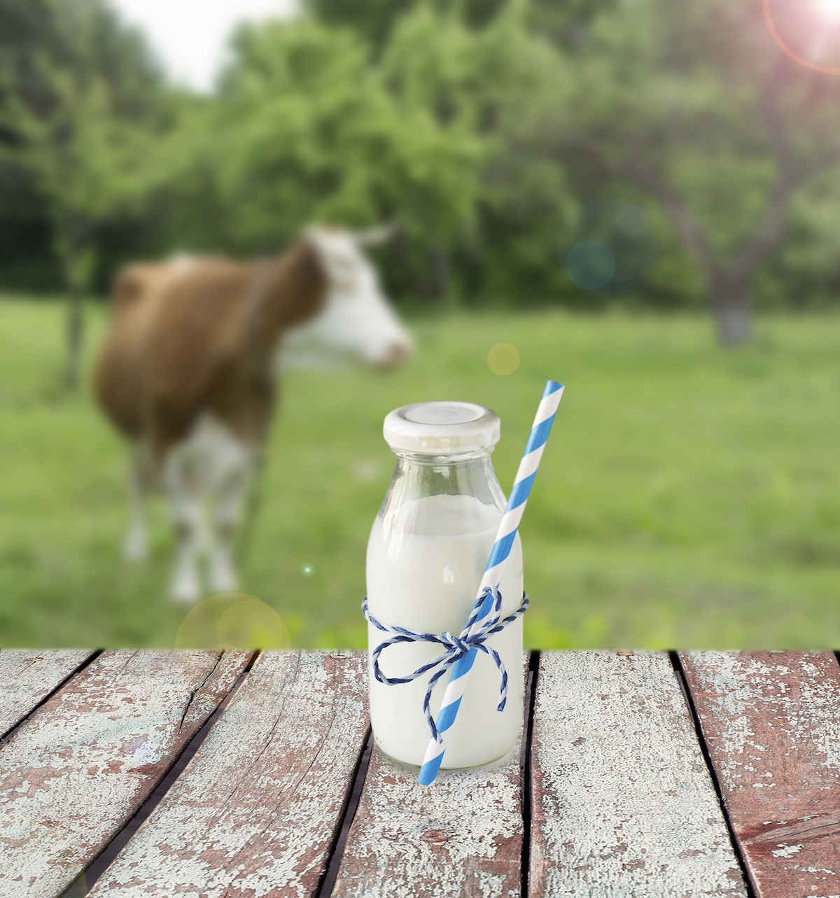 Lait ©De Kitamin shutterstock
