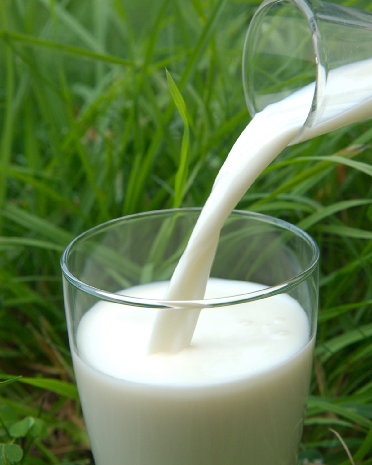 Lait demi écrémé (c) JF Mallet (c) CNIEL