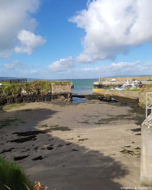 Petit port Irlande, Waterford