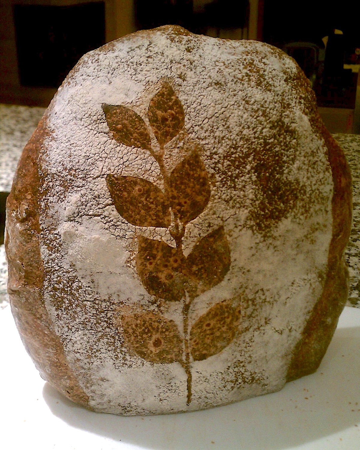 Rewena Paraoa, Maori Bread ©sierravalleygirl CC BY-NC 2.0