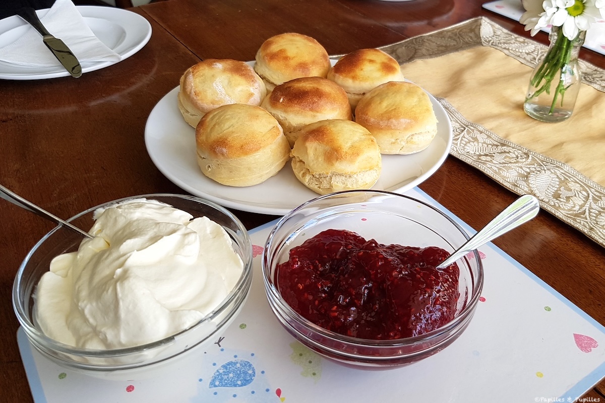 Scones irlandais servis avec clotted cream et confiture de framboises