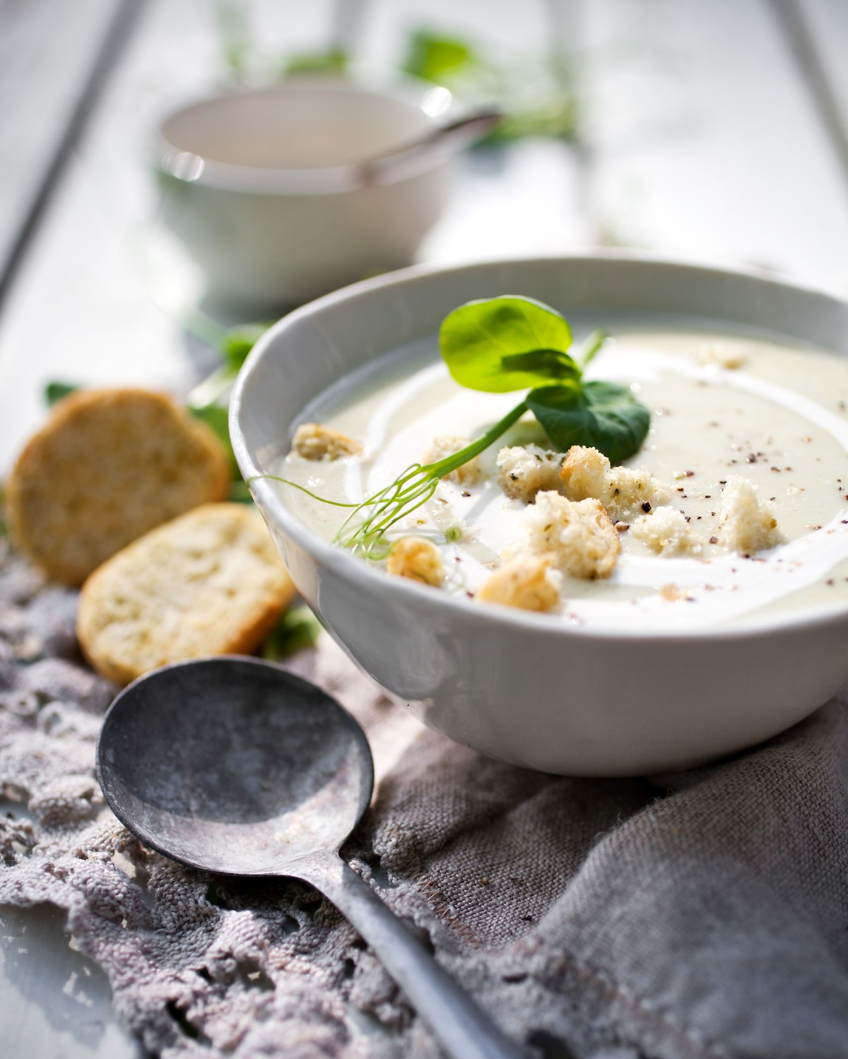 Soupe blanche avec courgette (c) Kati Molin shutterstock