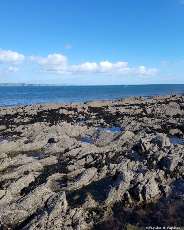 Petit port Irlande, Waterford