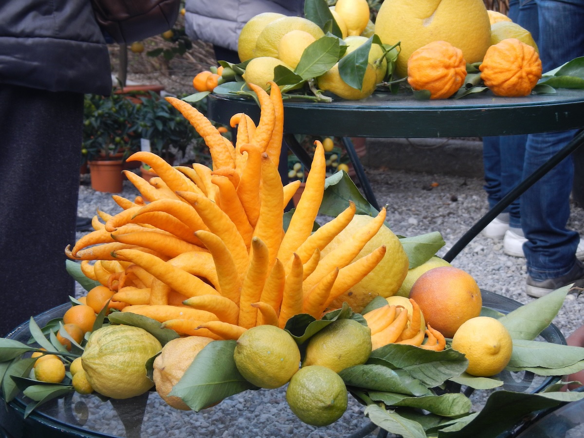 Agrumes (c) Fabcom CC BY-NC 2.0