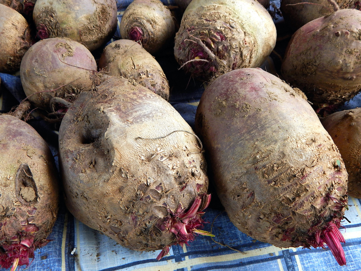 Isolated beetroots