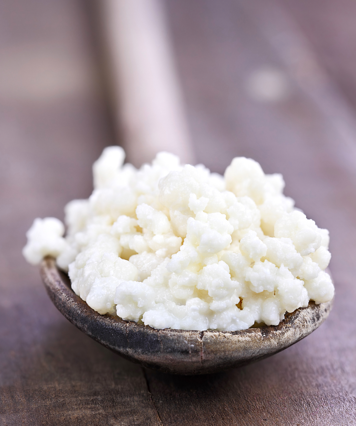Grains de kefir © Stephanie Fre shutterstock