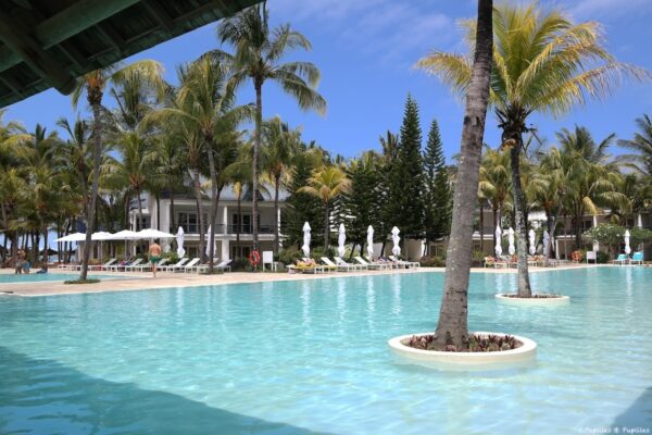 Ravenala - Île Maurice