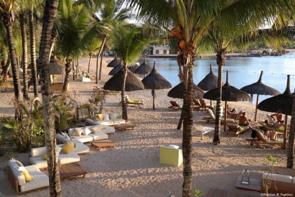 Ravenala - Île Maurice