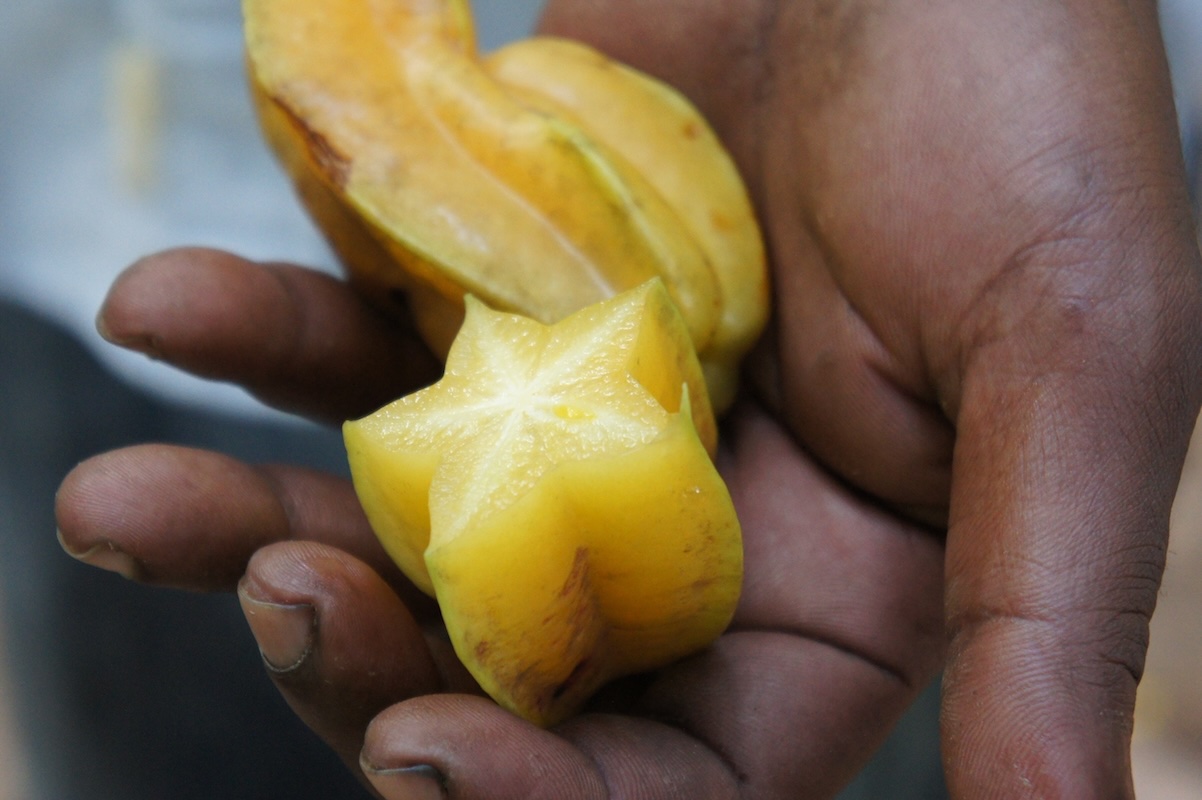 Caramboles ©Michael Siebers de Pixabay