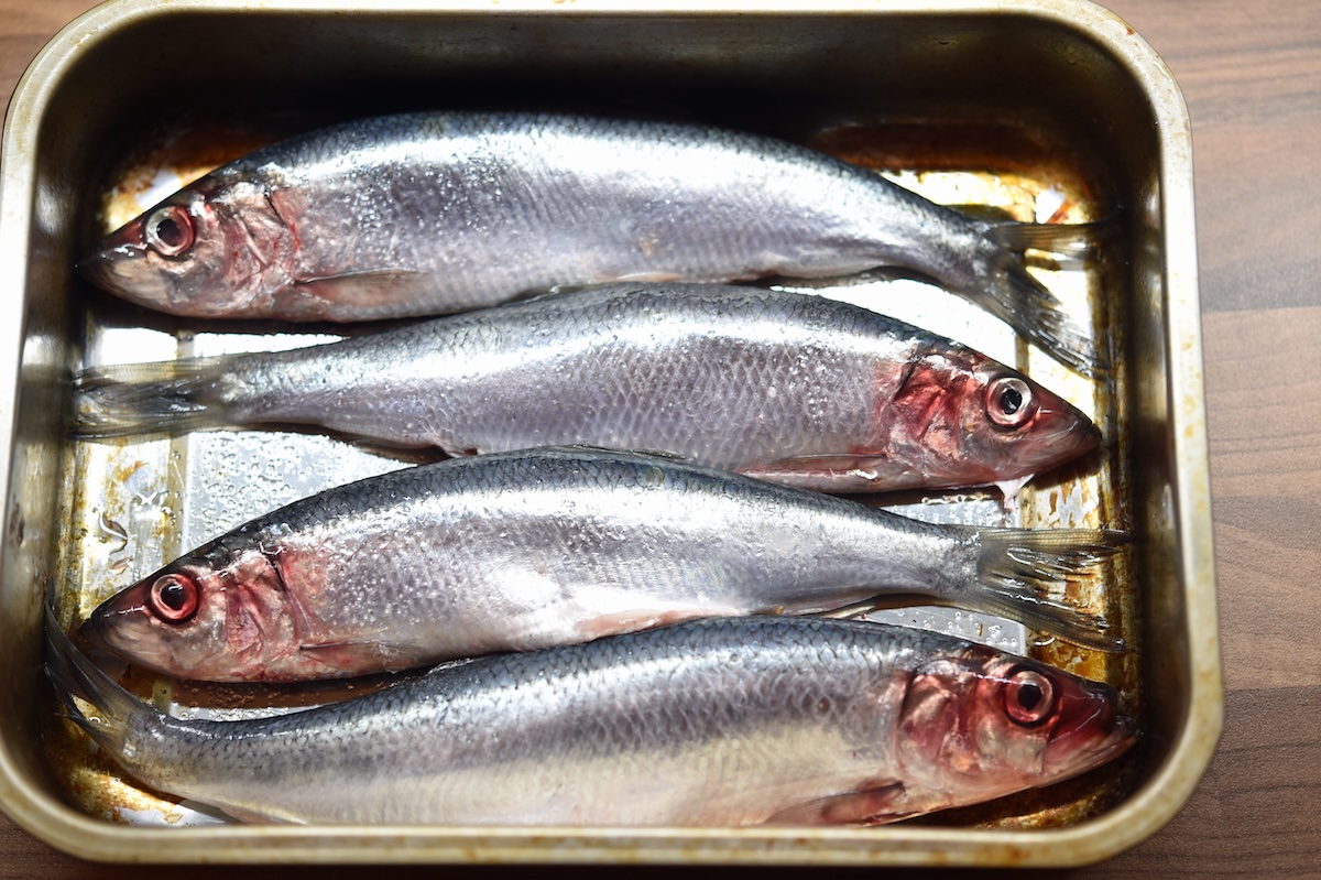 Harengs ©Conal CC BY 2.0