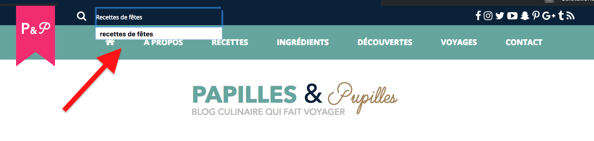 Rechercher recettes de fêtes