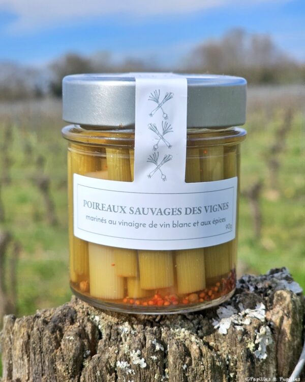 Pickles de baraganes : tiges