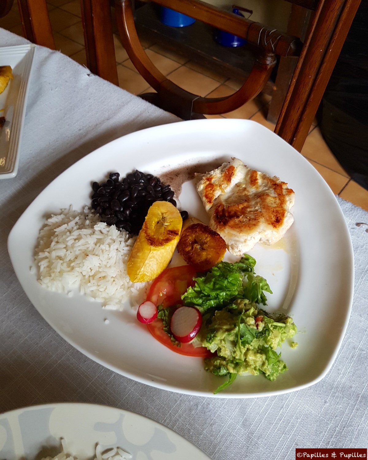 Casado, le plat national du Costa Rica