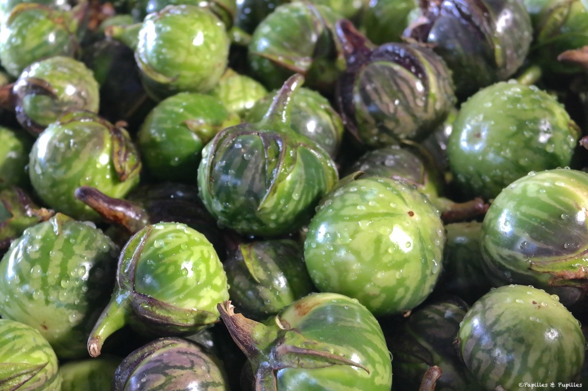 Aubergines thaï