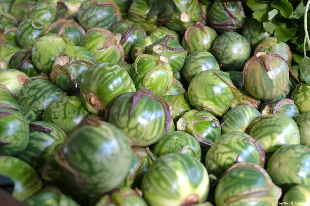Aubergines thaï