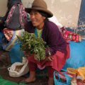 Huacatay - Marché Urubamba, Pérou