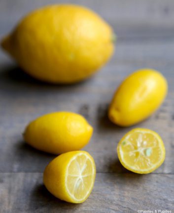 Lemonquat