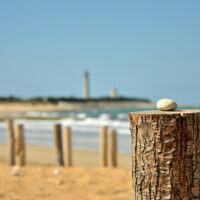 île de ré ©Evilspoon7 CC BY-NC-ND 2.0
