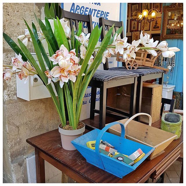 Bon début de weekend à tous 