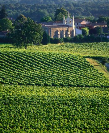 Le vignoble de l'Entre Deux Mer