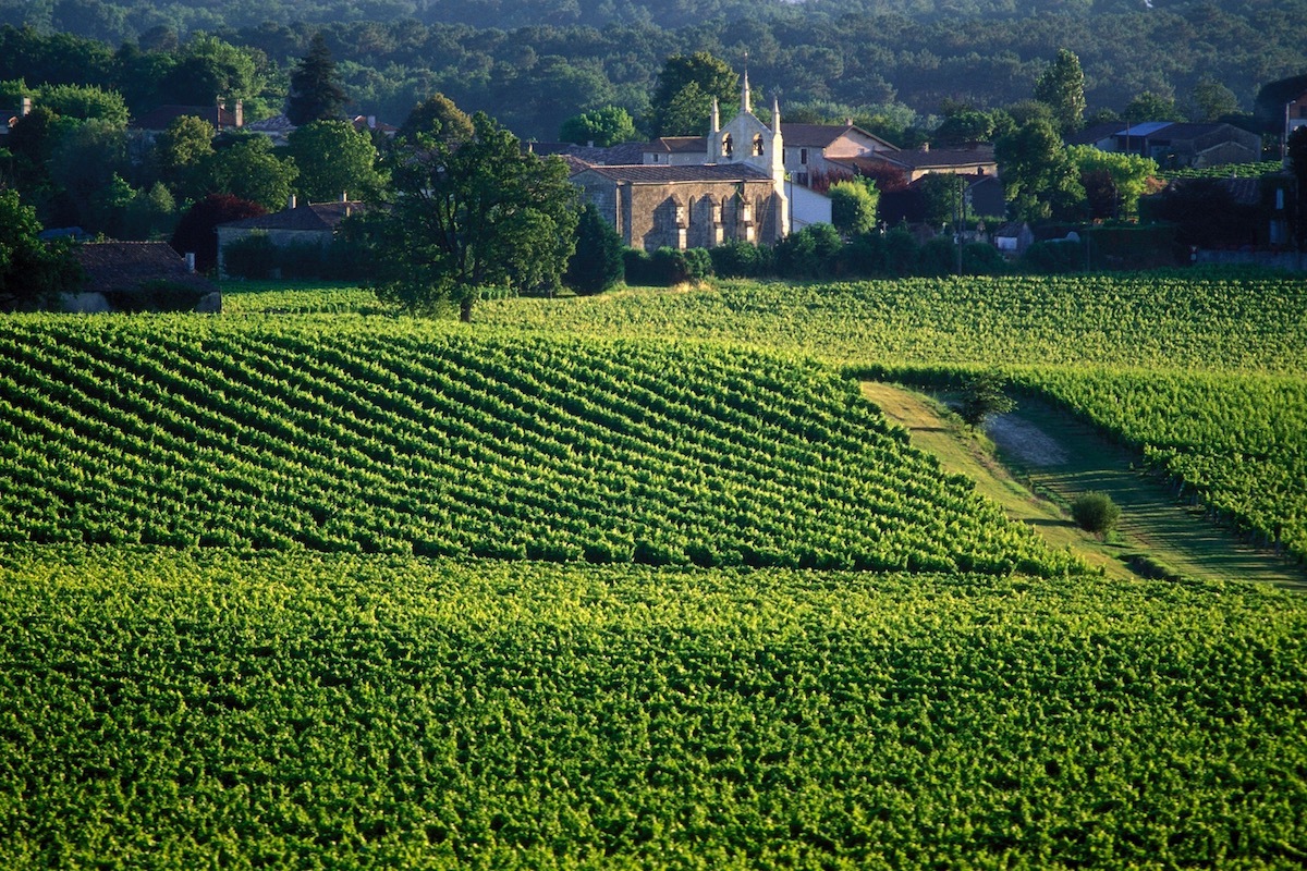 Le vignoble de l'Entre Deux Mer