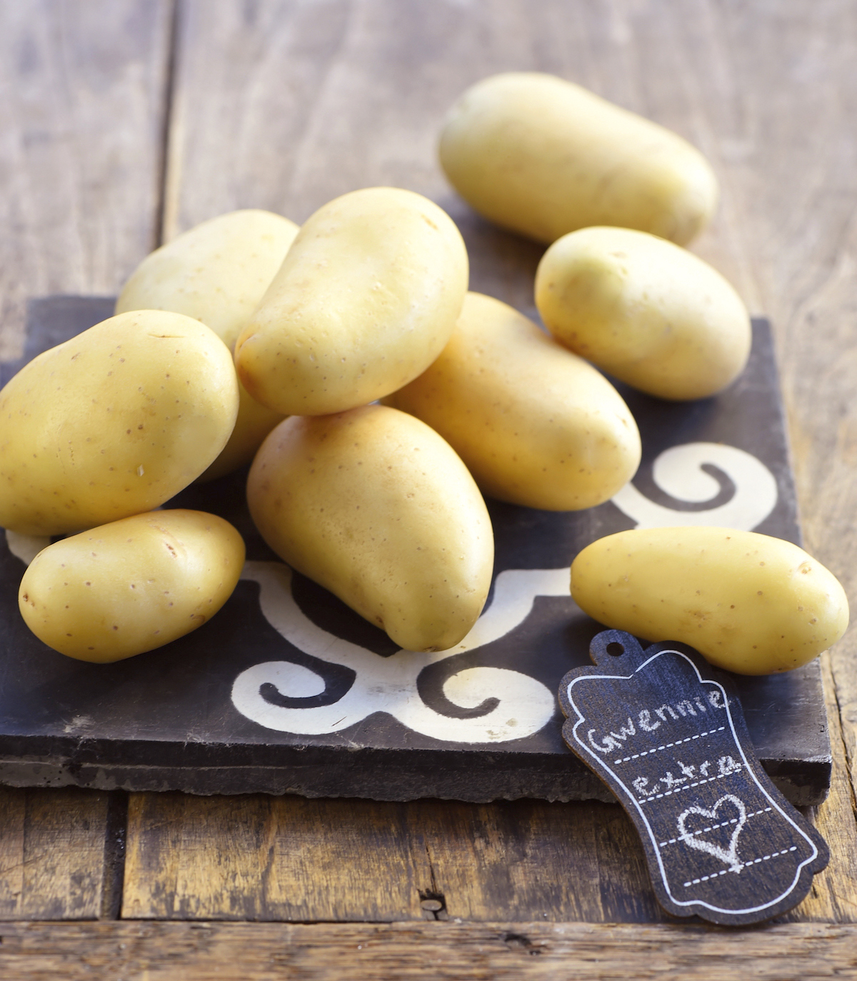 Gwennie © Franck Schmitt - Germicopa