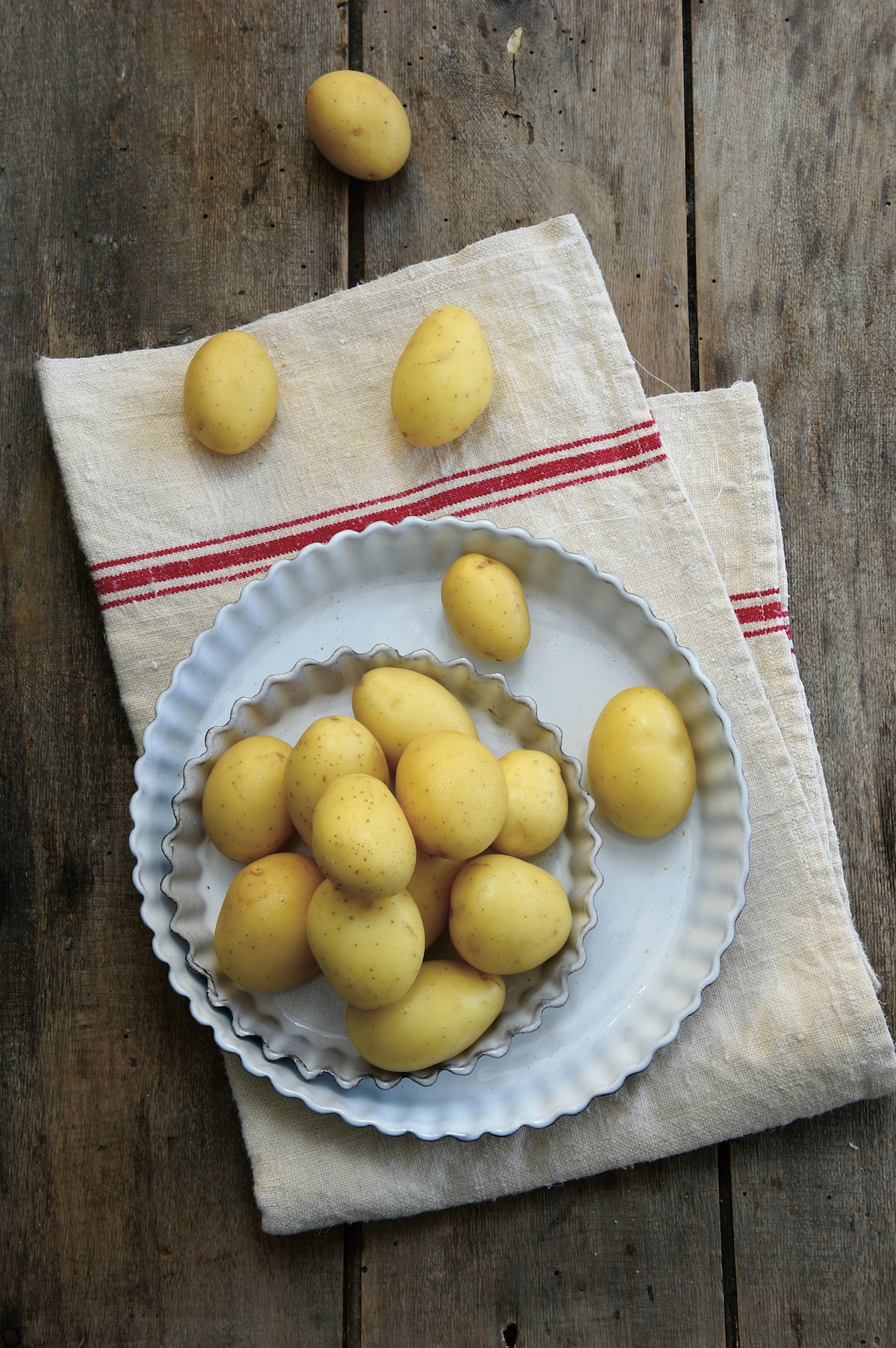 Little Gwennie © Franck Schmitt